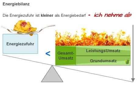 Zum Abnehmen braucht es eine negative Energiebilanz: www.angst-phobie-ch