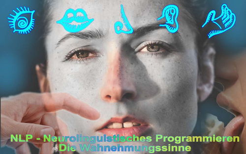 Systemische Aufstellungen und Coaching mit - NLP - Neurolinguistisches Programmieren - owi - Praxis für Veränderungscoaching - Angst- und Panikhilfe - www.angst-phobie.ch