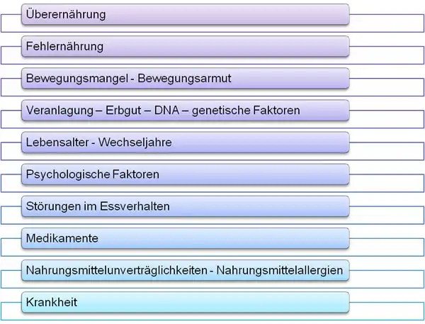 Die verschieden Faktoren von Übergewicht - www.angst-phobie.ch - Winterthur
